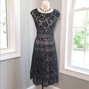 Eliza J Black & Nude Lace Fit & Flare Dress  - Women’s 14